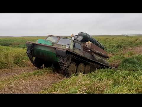 Видео: По бездорожью на газ-71!