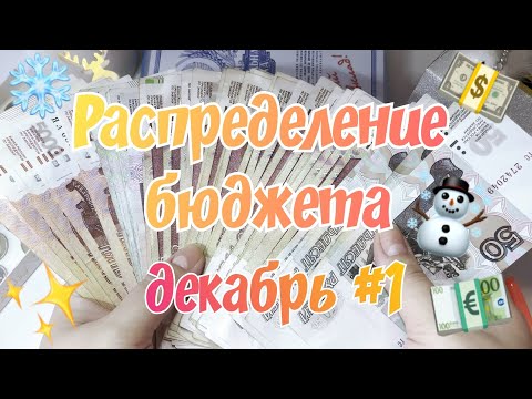 Видео: Распределение денежных средств по конвертам. Декабрь № 1
