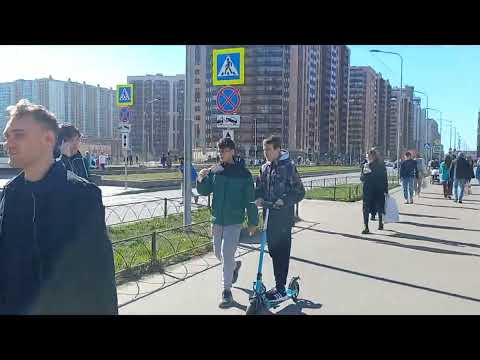 Видео: Питер Мурино пользуется спросом