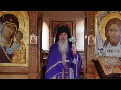 Видео: От хомо сапиенс к хомо квадрупес.