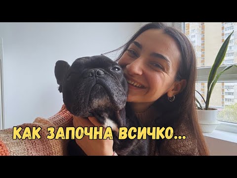 Видео: Какво е да имаш френски булдог? ИСТОРИЯТА НА БРУНО❤️