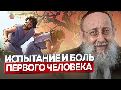 Видео: Испытание и боль первого человека. Рав Ашер Кушнир