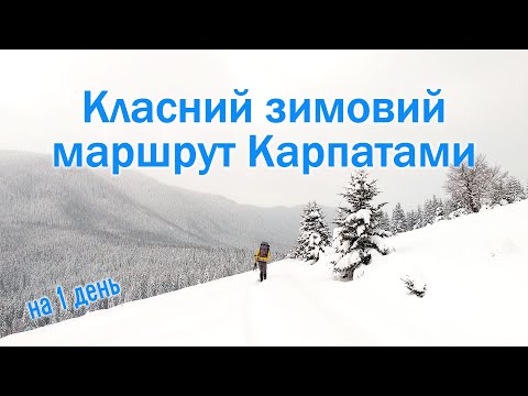 Видео: Класний зимовий маршрут Карпатами на 1 день
