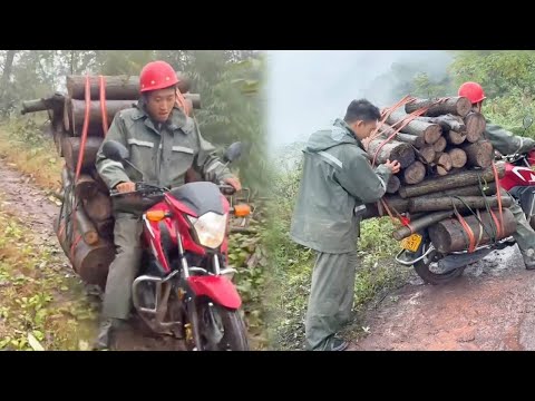 Видео: Мотоциклист, перевозящий 1000 кг брёвен, едет по извилистым горным дорогам, ведущим к обрыву. #см...