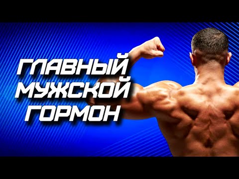 Видео: Король гормонов. Тестостерон