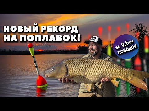 Видео: ЛОВИМ КАРПА НА ПОПЛАВОК! НЕОЖИДАННЫЙ ТРОФЕЙ 🏆