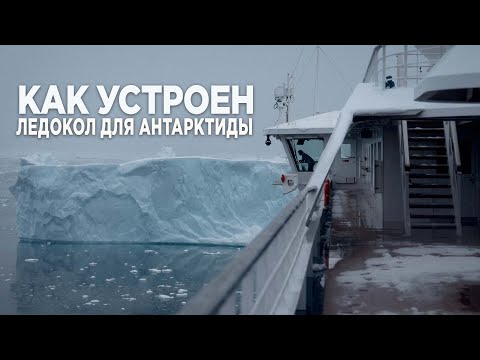Видео: Антарктида на круизном лайнере класса люкс. Как посмотреть Антарктику