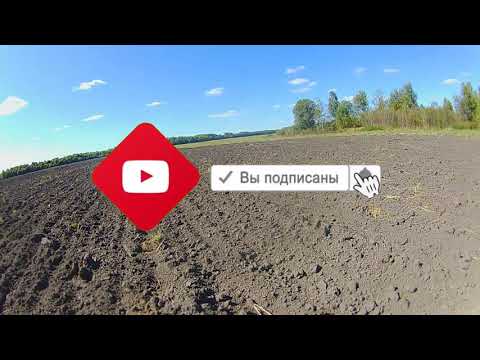 Видео: #Моменты поиска в #Брянской области!