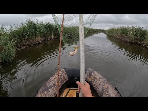 Видео: ЗАБРАЛСЯ В ДИКИЕ МЕСТА И НАТАСКАЛ САЗАНОВ! РЫБАЛКА НА ПАУК-ПОДЪЁМНИК! РЫБА НА КАЖДОМ ПОДЪЁМЕ!