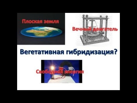 Видео: Вегетативная гибридизация? И.В. Мичурин и его идеи.