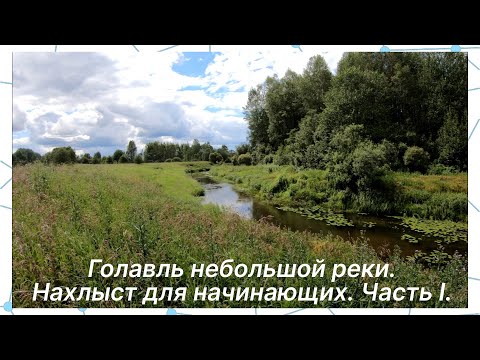 Видео: Голавль небольшой реки. Нахлыст для начинающих. Часть I.