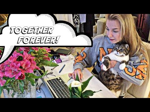 Видео: #34 Влог! Самый длинный вечер вместе с нами! Блины, Кошки, Анины обновки!