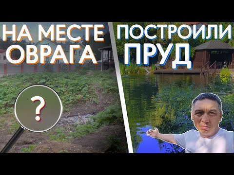 Видео: Построили пруд на месте старого оврага. Ландшафтный дизайн.