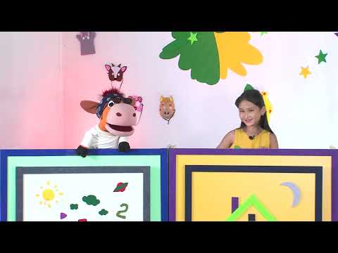 Видео: "Бөөрөө Мөөрөө" хүүхдийн нэвтрүүлэг /S1-№26/