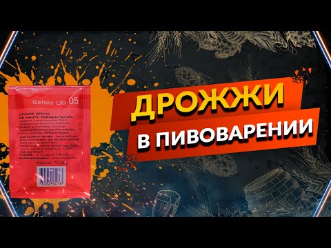 Видео: Пивные дрожжи - Общее