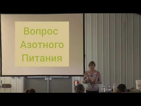 Видео: Кристин Джонс. Проблема Азотных удобрений.