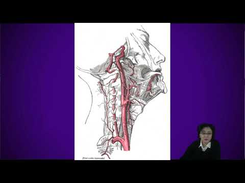Видео: Н - холинергические средства