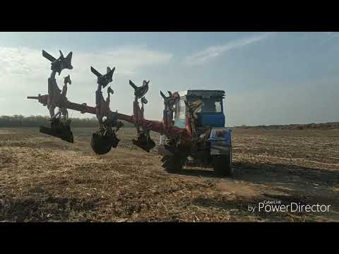 Видео: Уборка кукурузы. Адевей. Луиджи. Матадо.