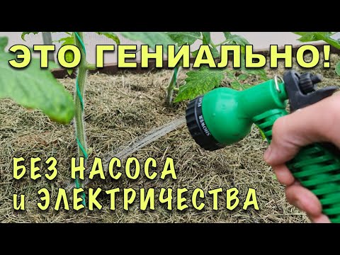 Видео: НАДОЕЛО ГОРБАТИТЬСЯ с ЛЕЙКАМИ! Сделал автополив из бочки БЕЗ НАСОСА и ЭЛЕКТРИЧЕСТВА