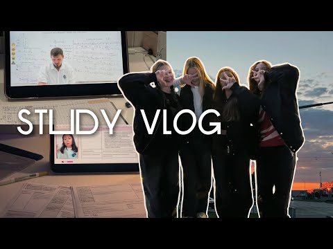 Видео: study vlog в 11 классе || 🍁 archive. autumn