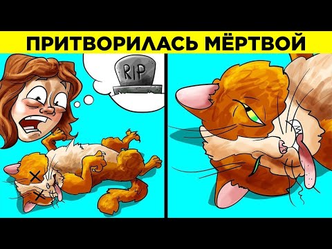 Видео: Как Животные Играют С Людьми