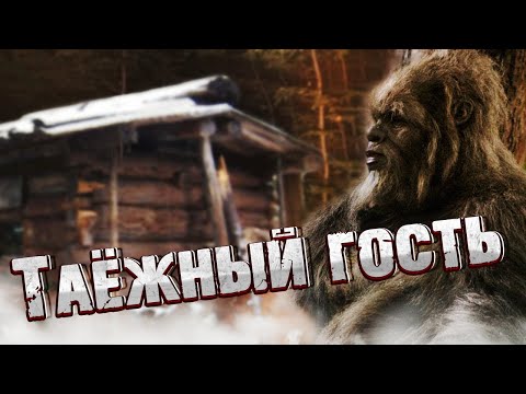 Видео: ЗАГАДОЧНЫЙ НЕПОЗНАННЫЙ ЗВЕРЬ, да и зверь ли это был! Встреча в глухой зимней тайге!