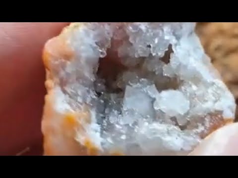 Видео: Поход в Русавкино за окаменелостями и  кварцевыми жеодами