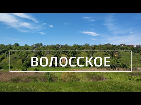 Видео: Волосское: пешеходный маршрут вдоль Днепра. Поход выходного дня.