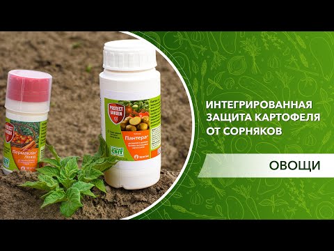 Видео: Комплексная защита картофеля от сорняков