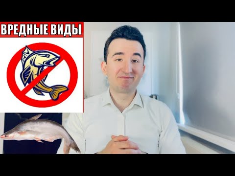 Видео: Рыба свежая и замороженная. Самая опасная для здоровья рыба. #deaf #ржя #sign