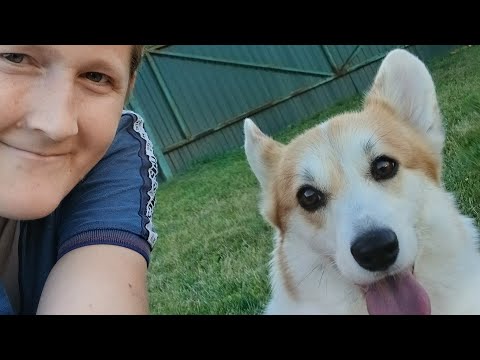 Видео: Как и где я нашёл работу? 😅😘😜🤪