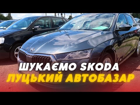 Видео: 🚘Які є та яка ЦІНА SKODA на Луцькому авторинку?