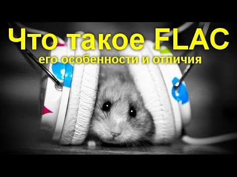 Видео: Что такое FLAC, его особенности и отличия