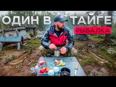 Видео: ОДИН в ТАЙГЕ. НАШЁЛ ИЗБУ на ТАЁЖНОМ озере. Остался БЕЗ СВЯЗИ .