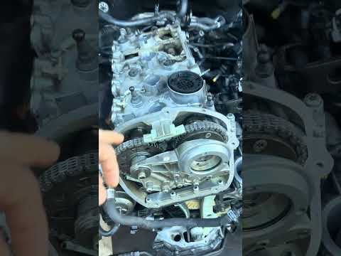 Видео: 29 октября 2025 г.