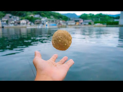 Видео: Пельмени Рыбалка, набережная, черный лосось