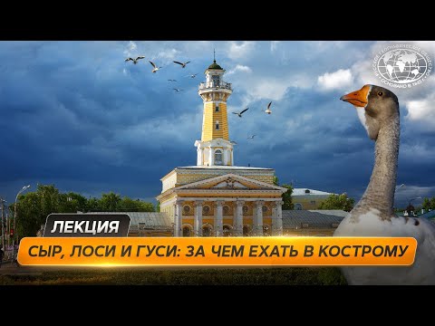 Видео: Путешествие по Костромской области: сыр, гуси и лоси  | @Русское географическое общество