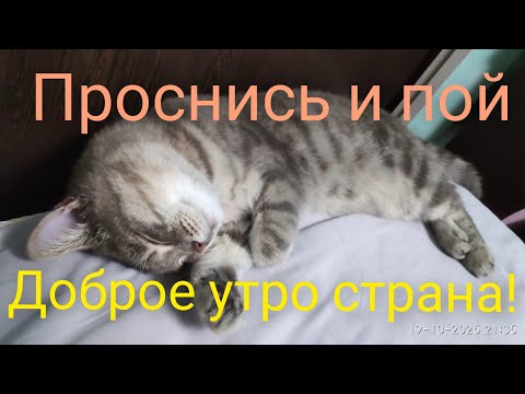 Видео: Доброе утро страна! Чаепитие. Без электрика никак.