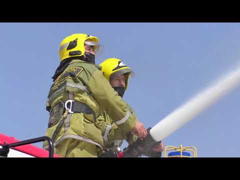 Видео: ФВВ ходимларининг ижодий қизиқишларидан