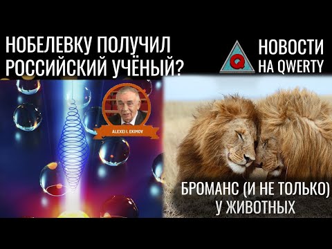 Видео: Мотивы однополых связей в природе. Нобелевская премия по медицине, физике, химии.Новости QWERTY №275