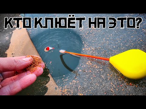 Видео: СТАРЫЙ ЗАТОН УДИВИЛ! Попал на ТРУДОВУЮ РЫБАЛКУ но ПОЙМАЛ! Первый лёд 2024.