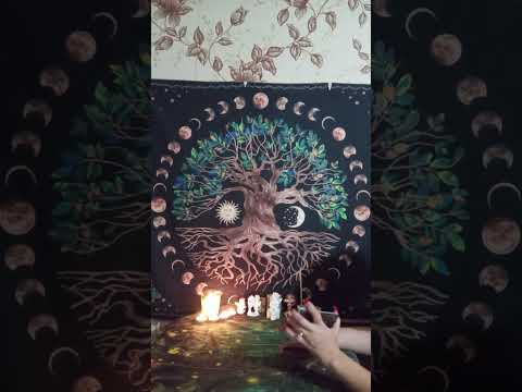 Видео: ✴️😇✴️ТАРО ДЛЯ МУЖЧИН. Высшие Силы просят вам передать#мысличувствадействия#мыслимужчинытаро ✴️😇✴️