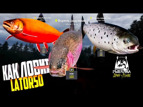 Видео: Русская рыбалка 4.🎣🦈 оз. Куори 🐬🐬🐬💦 КАК ЛОВИТ LATORSO 👀