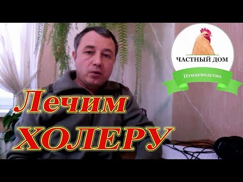 Видео: Холера  Как я вылечил больную курицу
