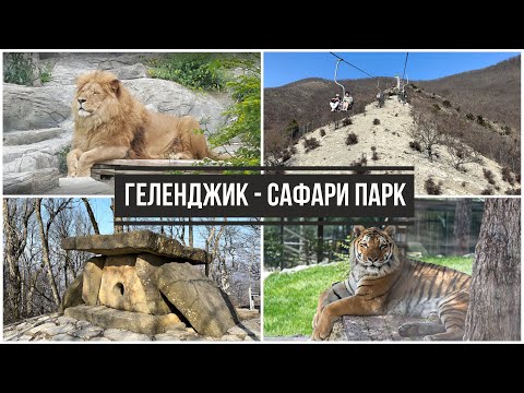 Видео: Геленджик 2024. Сафари парк. Канатная дорога.