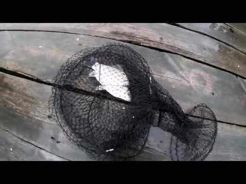 Видео: Озеро Тишки.  Разведка