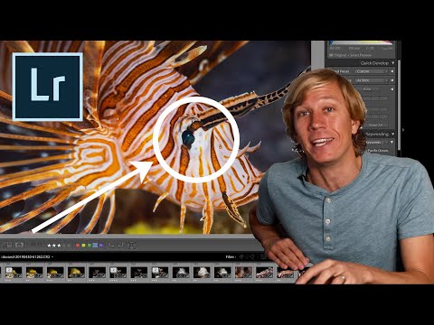 Видео: 10 советов по редактированию фотографий в Lightroom для подводных фотографов