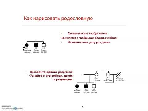 Видео: Клинико-генеалогический метод диагностики