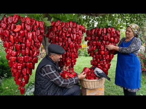 Видео: С Огорода на Стол: Приготовление Пасты из Болгарского Перца