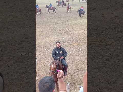 Видео: Бузкаши деҳаи Мачитон 27.10.2024 #2